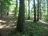 0_1157848_146163.jpg